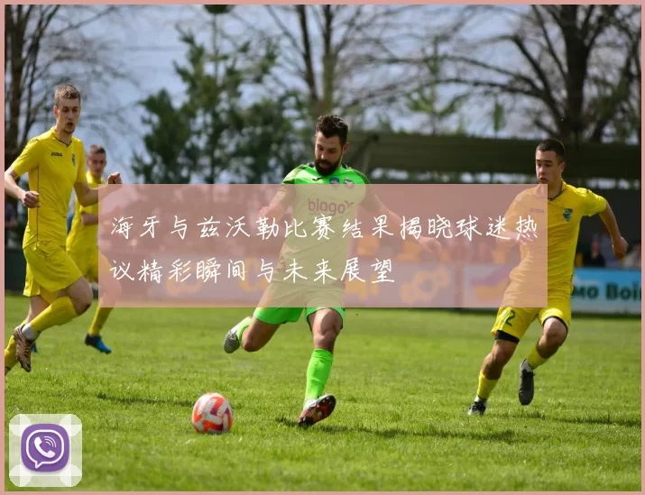 海牙与兹沃勒比赛结果揭晓球迷热议精彩瞬间与未来展望