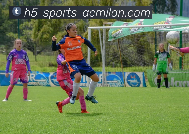 米兰官网平台生态图