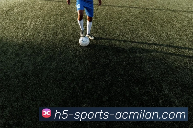 米兰官网全站App